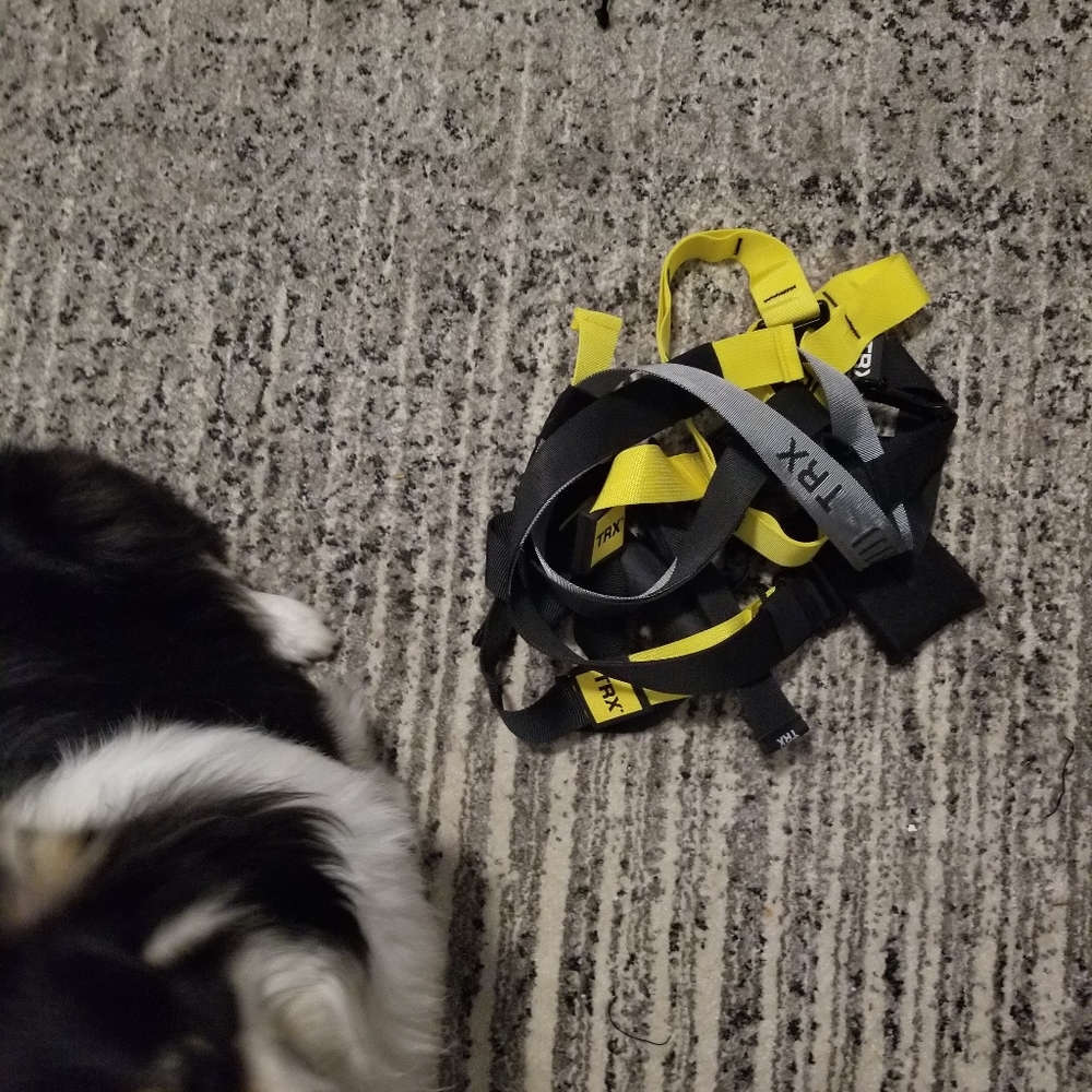 Trx pro - Picture 2 of 3